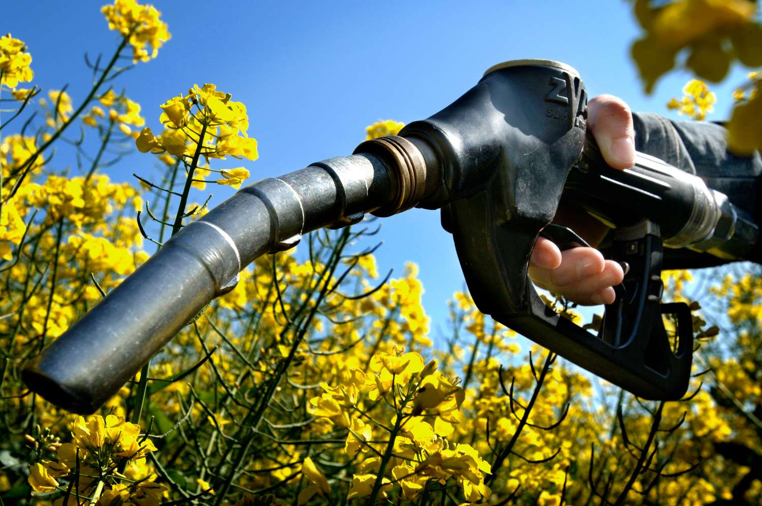 Exportación de biocombustibles: “Creemos que no va a haber cambios”