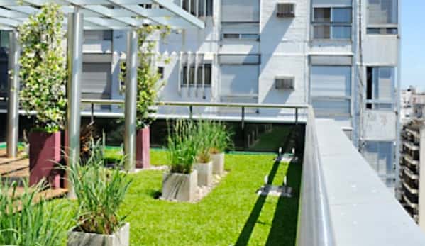 Promueven la instalación de terrazas verdes