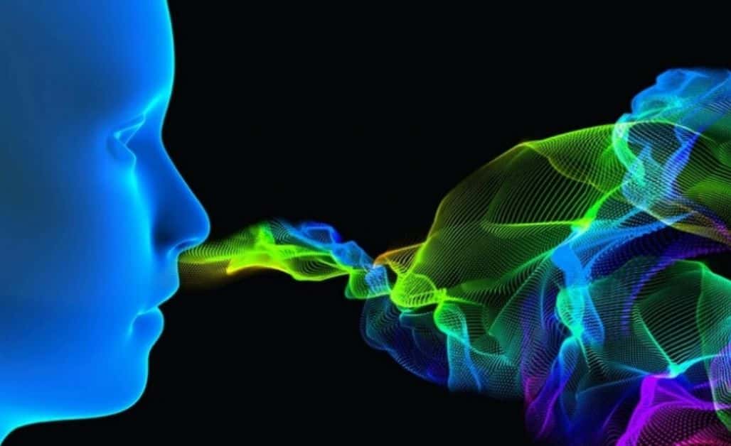 Aparentemente, en el cerebro "se producen dos representaciones distintas de los olores"