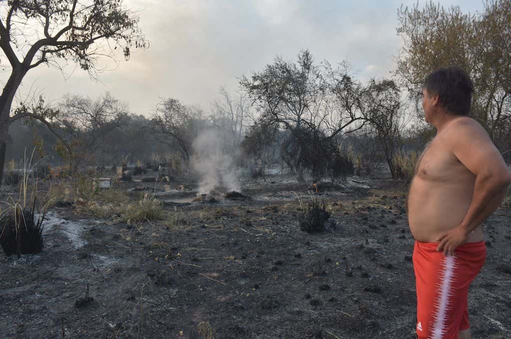 Colmenas en llamas: un productor apícola de Alto Verde perdió todo por un incendio