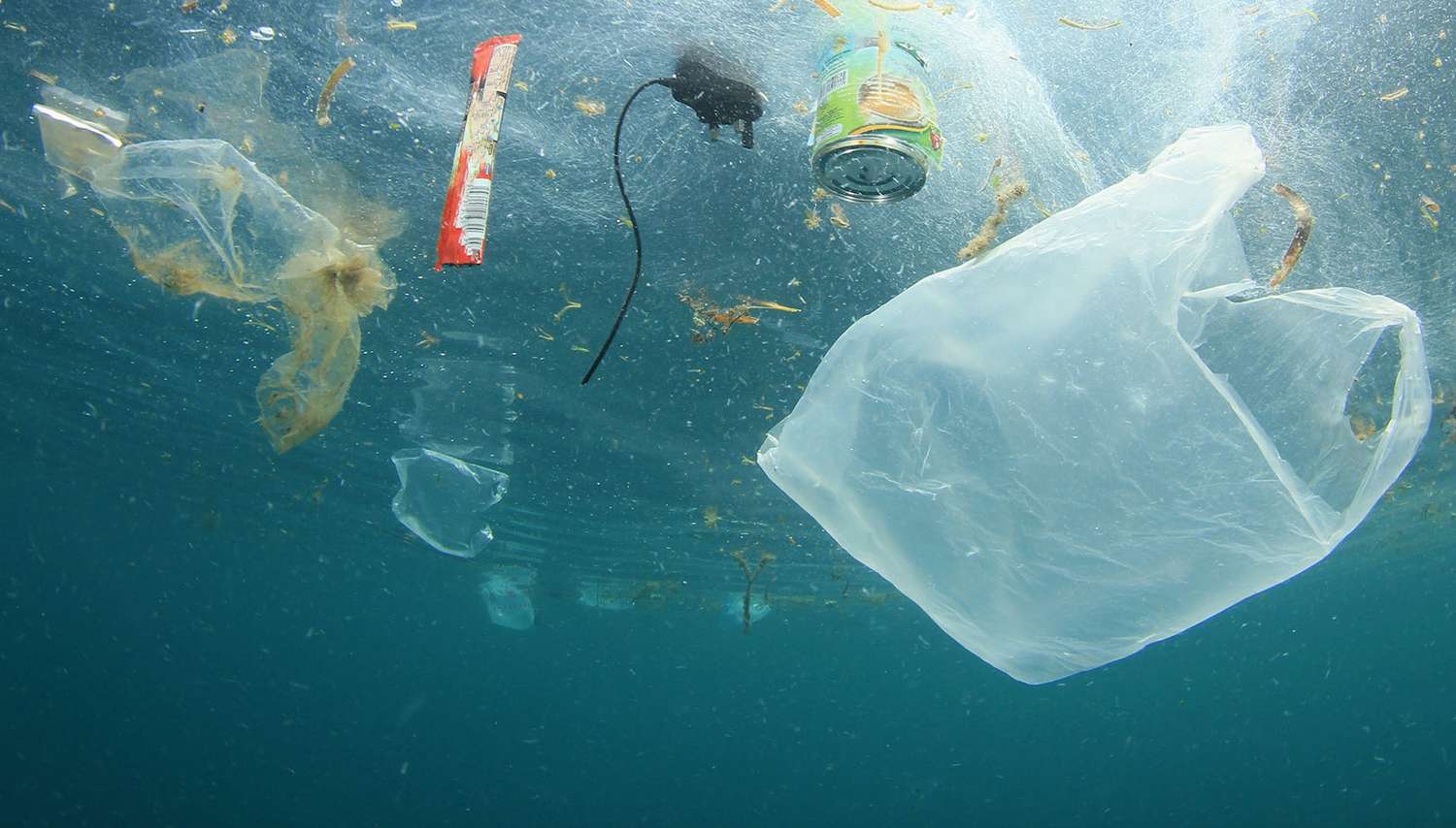 Alertan que los residuos plásticos ya contaminaron “todos los rincones de los océanos”