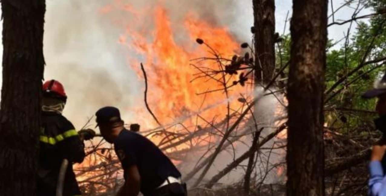 Incendios en Corrientes: varios focos llegaron al ingreso de los Esteros del Iberá
