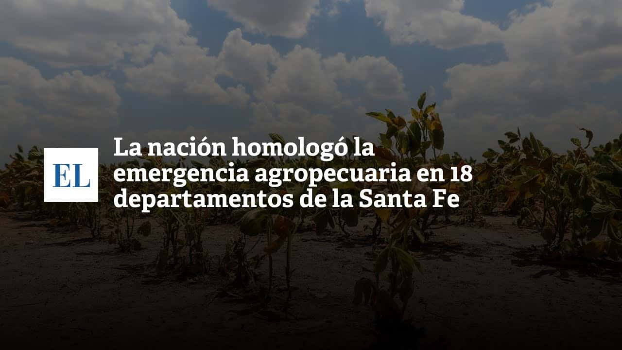 La Nación homologó la emergencia agropecuaria en 18 departamentos de Santa Fe