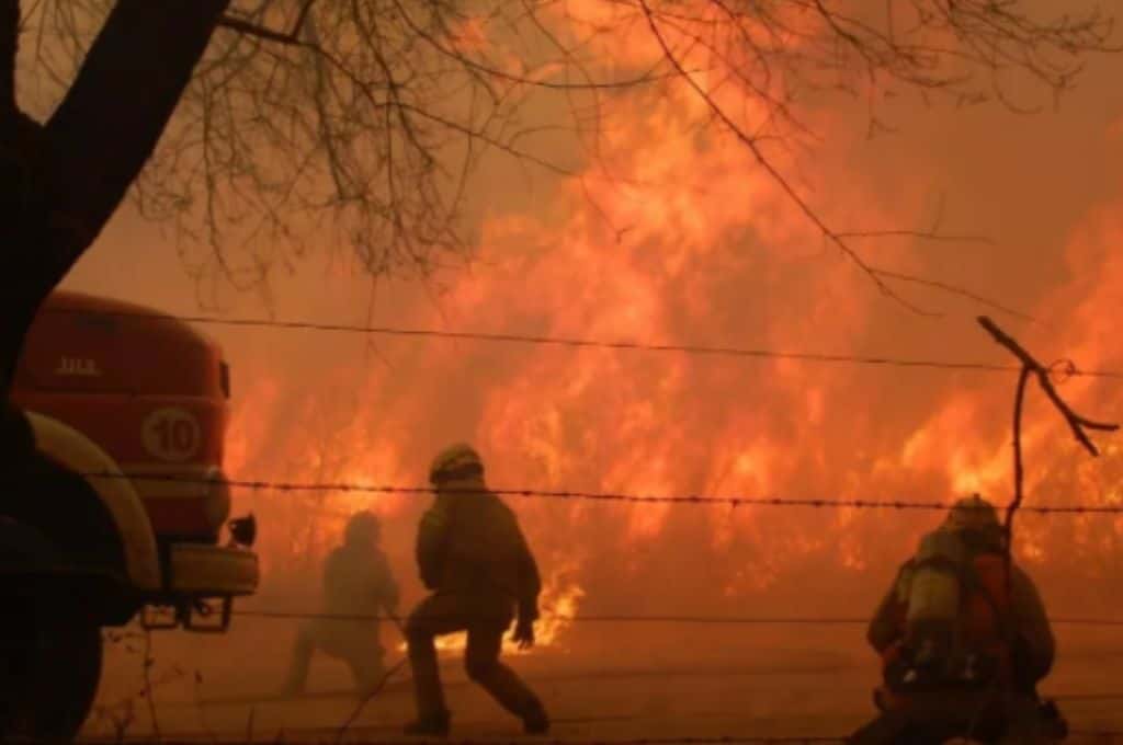 Corrientes declaró el estado de desastre agropecuario por los incendios rurales