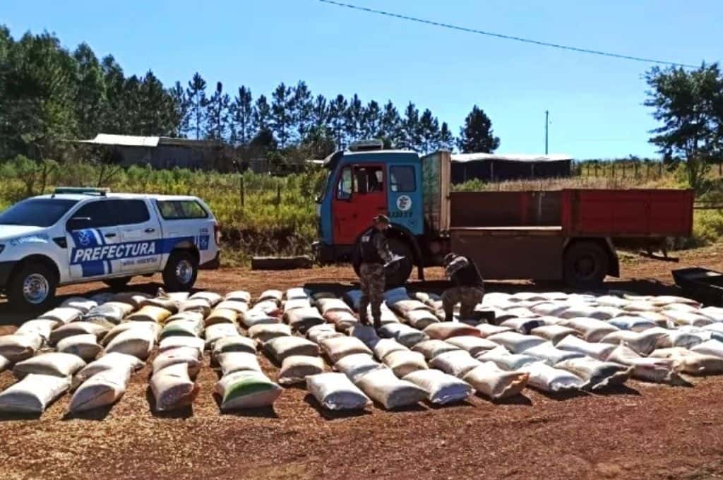 Decomisan más de 6 toneladas de soja ilegal en Misiones