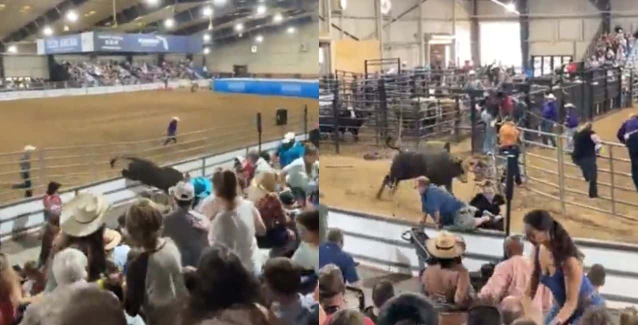 Video: un toro se escapó del corral en una feria y saltó sobre el público