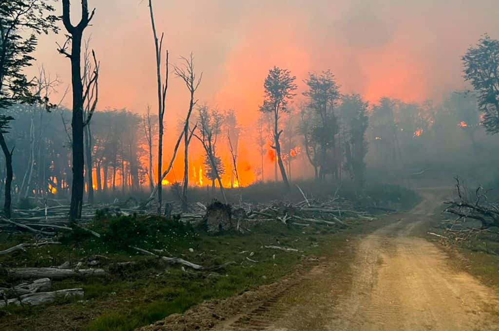 Catástrofe ambiental en Tierra del Fuego: descomunal incendio ya arrasó con más de 9 mil hectáreas