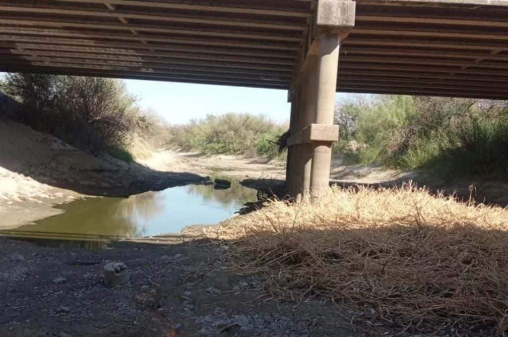Escalofriante: encontraron un cráneo debajo de un puente de la autopista Santa Fe – Rosario