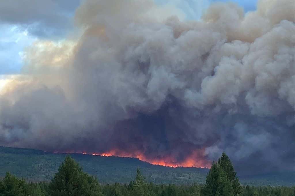 Río Negro: brigadistas trabajan para contener un voraz incendio forestal en Cuesta del Ternero