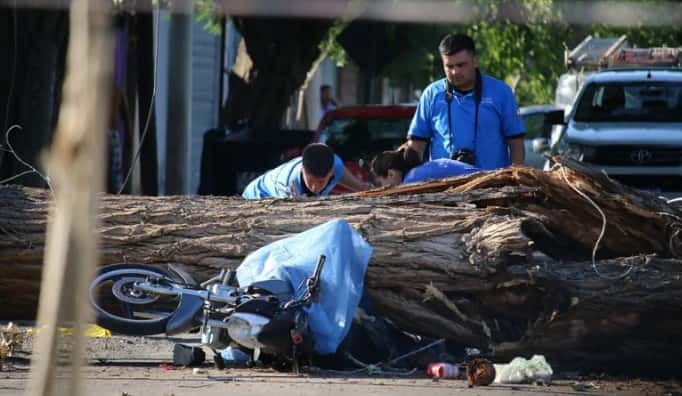 Circulaban en moto por San Juan y cayó un árbol sobre ellos: uno murió y el otro sufrió lesiones graves