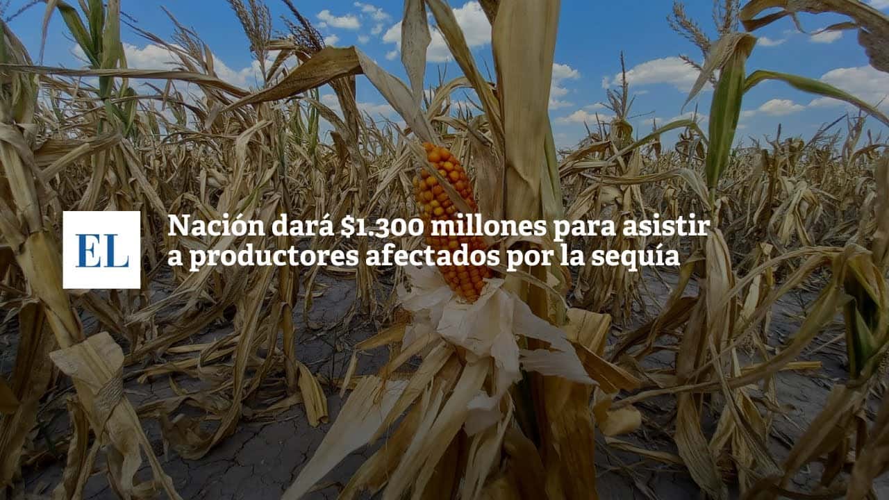 Nación dará $1.300 millones para asistir a productores afectados por la sequía