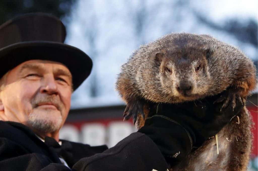 Día de la marmota: Phil salió de su madriguera y predijo un invierno más largo en EEUU