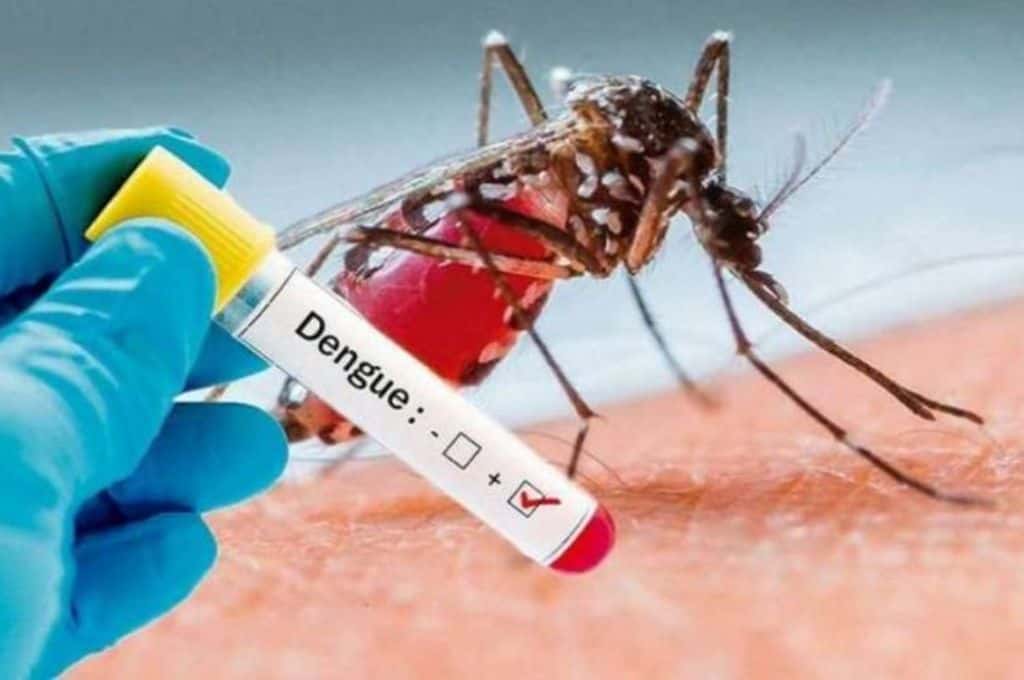 Murió una adolescente por dengue en Misiones