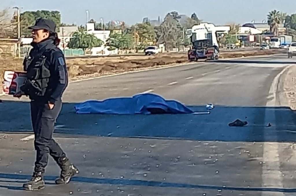 Mendoza: un joven se suicidó tras tirarse debajo de un camión en la ruta 7