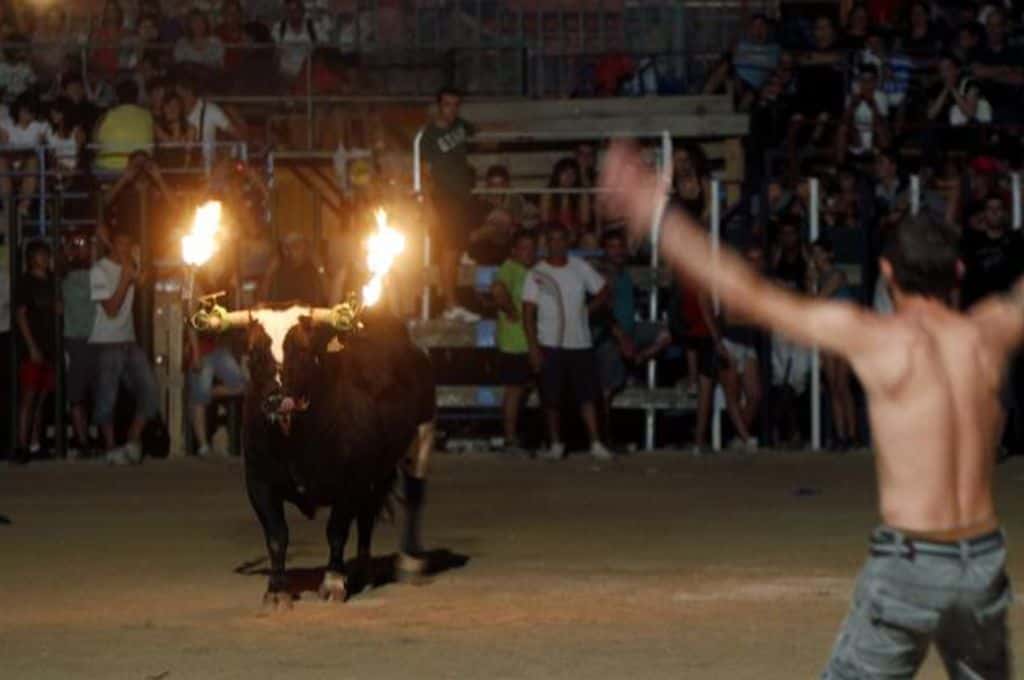 Video viral: un toro embistió a un sujeto que le prendió fuego a sus cuernos