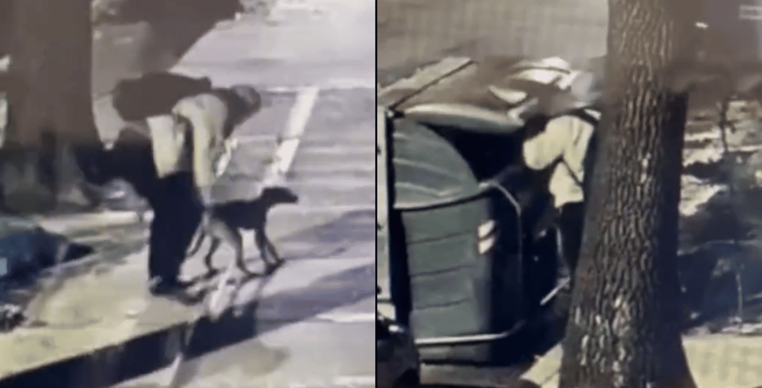 Buenos Aires: un hombre tiró a su perro a la basura y todo quedó grabado