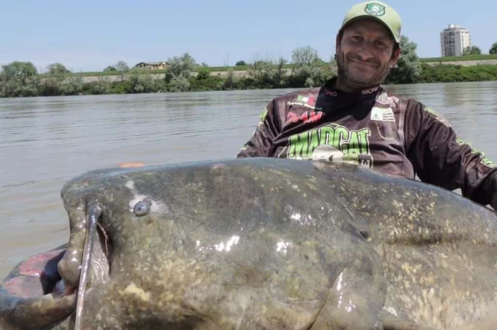 Video: un italiano capturó un gigantesco pez de apariencia prehistórica