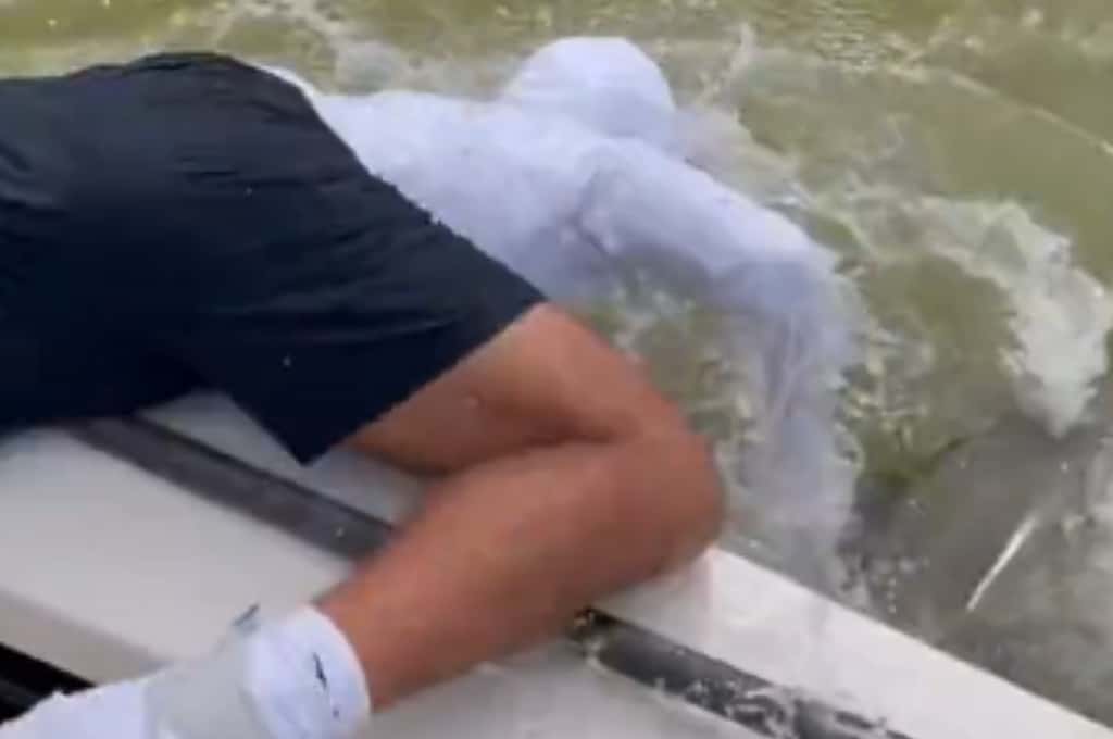Video viral: un tiburón mordió y arrastró por la borda a un pescador
