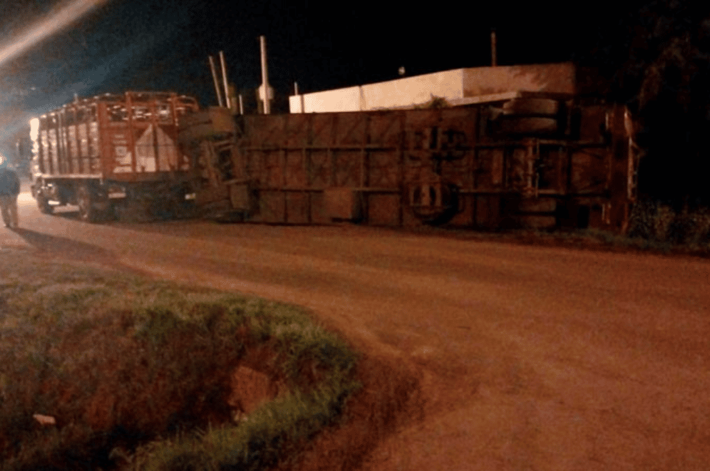 Dramático vuelco de un camión con ganado en Paraná: dos novillos murieron atropellados y otros 28 escaparon