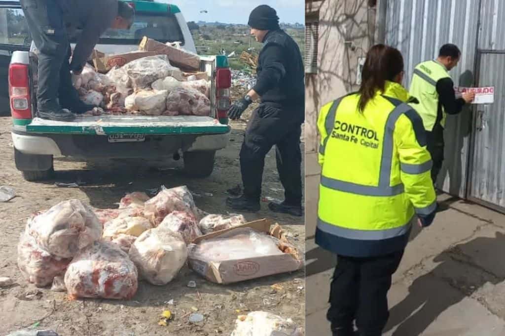 Santa Fe: secuestraron más de 1,5 toneladas de carne en un frigorífico clandestino