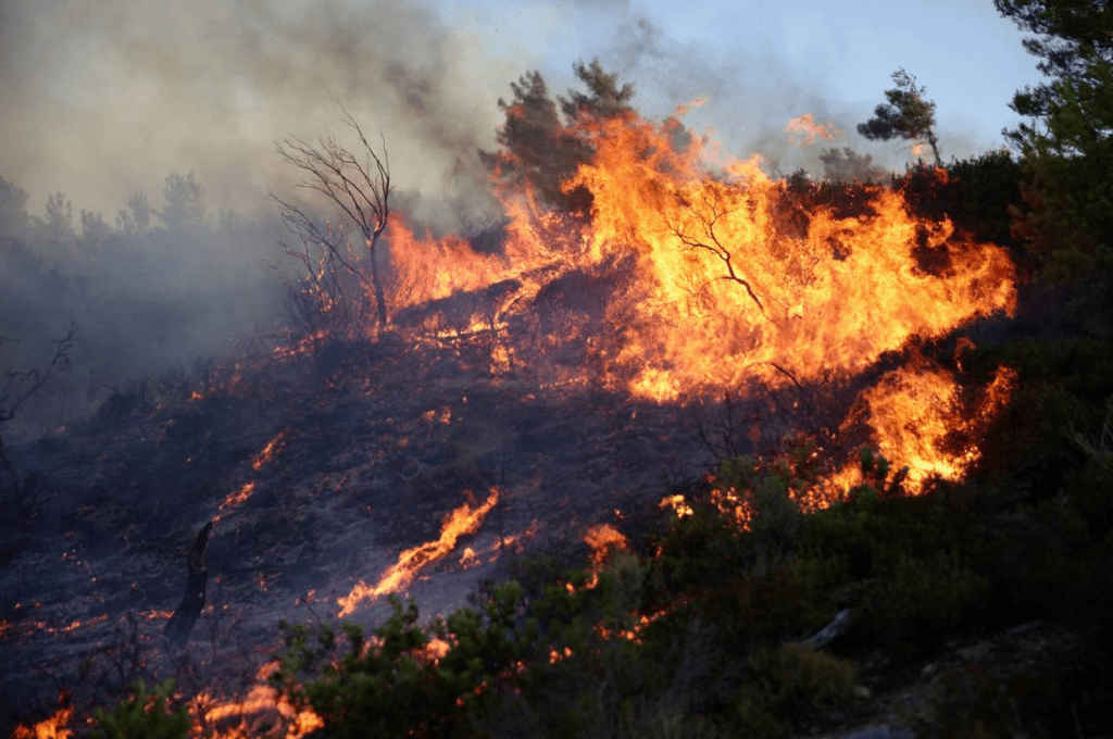 Grecia bajo fuego: una intensa ola de calor agrava los incendios