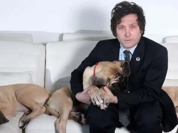Insólito: Javier Milei presentó a sus cinco perros a los que considera "sus hijos"