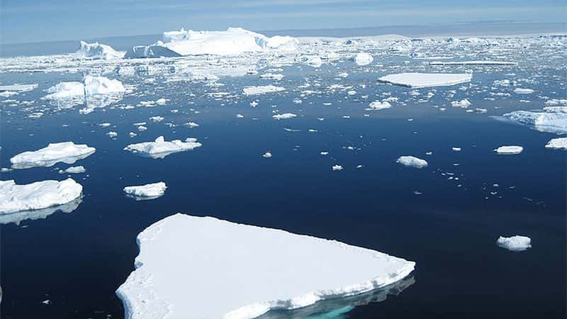La extensión del hielo marino antártico alcanzó su punto máximo este año el 10 de septiembre