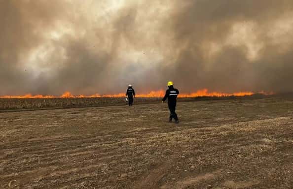 Ruta Nacional 8: se incendió un campo cerca del peaje de Venado Tuerto