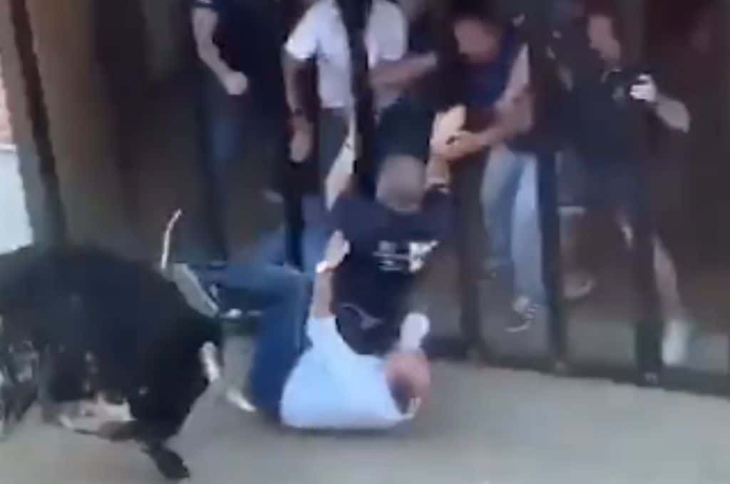 Video: un toro mató a un hombre en un festejo taurino de Valencia
