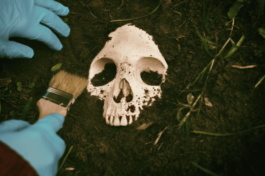 Nigeria: condenaron a cinco hombres por exhumar un cráneo para un ritual que los volvería ricos
