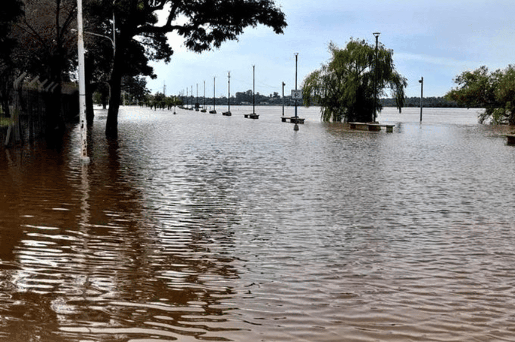 Video: más de 200 familias fueron evacuadas en Concordia por la creciente del río Uruguay