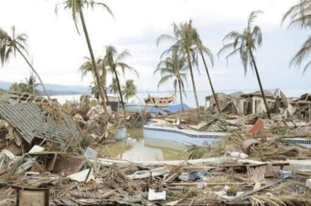 Videos: destrucción masiva en Acapulco por el impacto del huracán Otis
