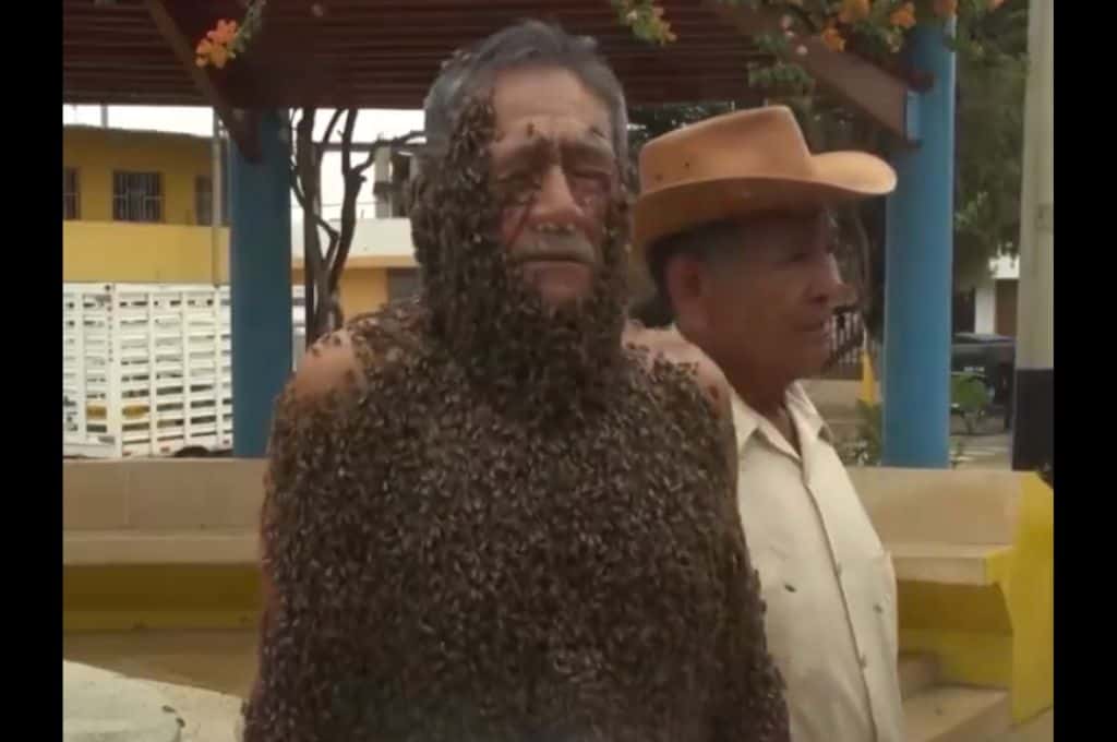 ¡Impresionante!: un apicultor se cubre con miles de abejas para promocionar la actividad