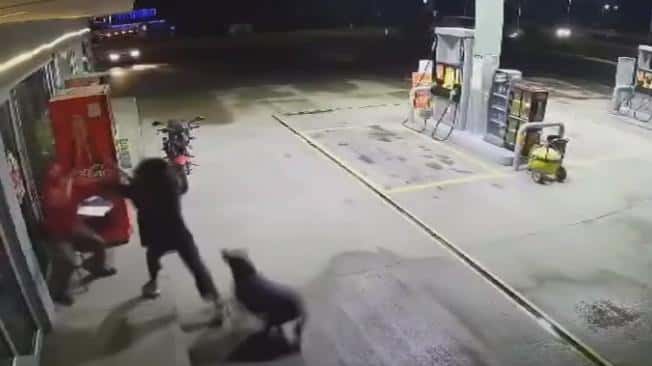 Video: una perrita ayudó a un empleado de una estación de servicio a defenderse de un ladrón
