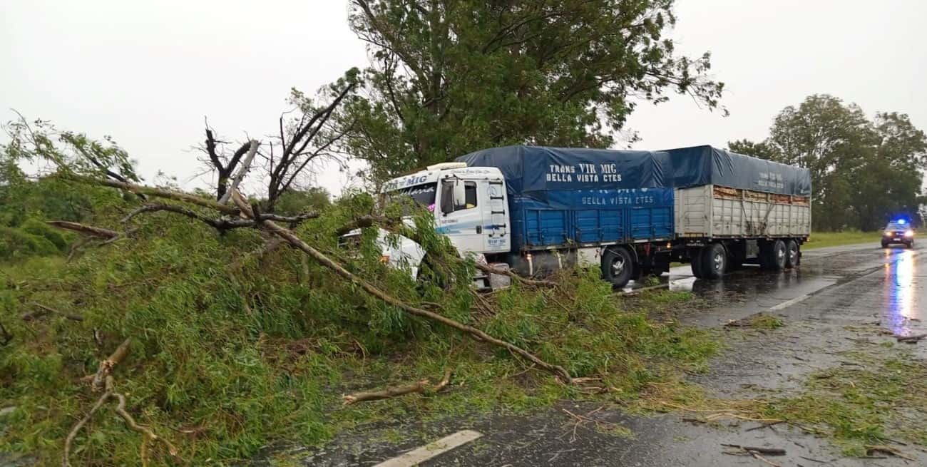 La caída de un árbol durante el temporal provocó un accidente en La Guardia
