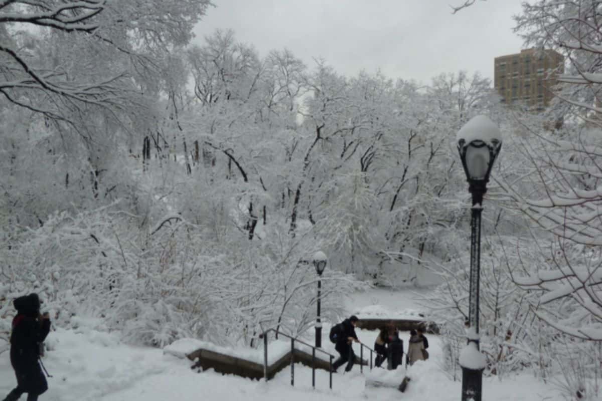 El Central Park se vistió de blanco: volvió a nevar en New York
