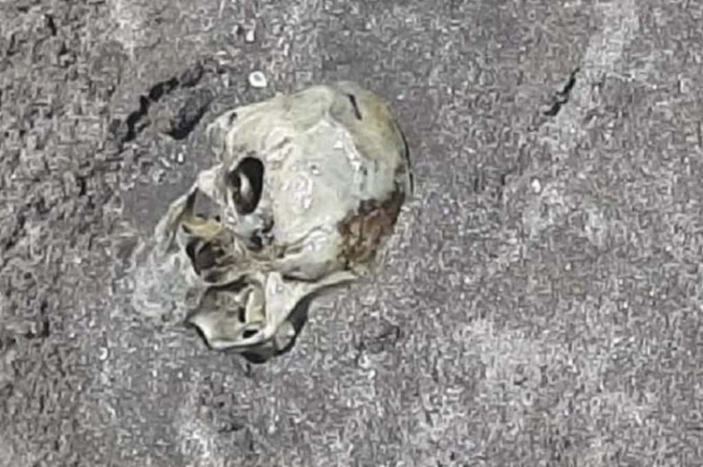 Macabro hallazgo: un nene encontró un cráneo humano enterrado en las playas de Mar del Plata