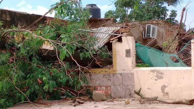 Tragedia: un niño de un año murió por la caída de un árbol en medio del temporal en Formosa