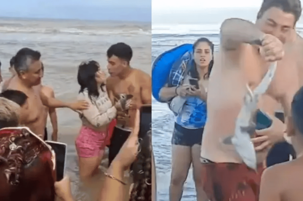 Video: apareció un tiburón bebé en las playas de Santa Teresita y turistas lo sacaron del mar para tomarse fotos