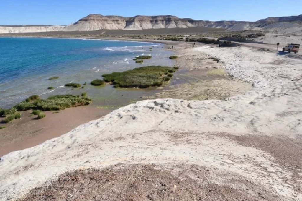 Caminaban por una playa de Chubut y hallaron restos óseos