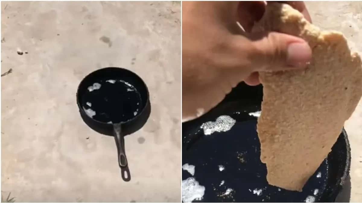 Video viral: un rosarino cocinó una milanesa al sol en medio de la intensa ola de calor