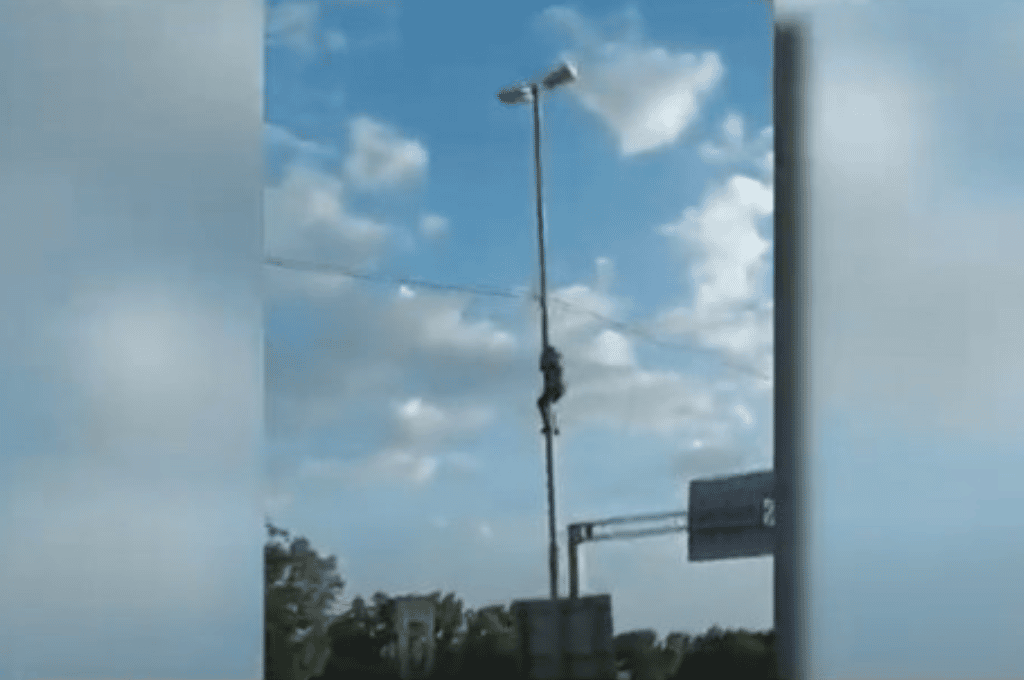 Video: se trepó a un poste de luz a robar cables en plena Circunvalación de Rosario