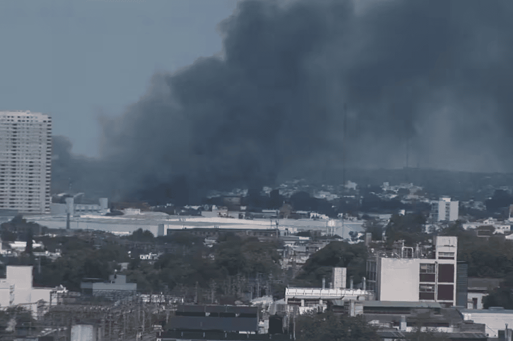 Video: bomberos combaten atroz incendio en seis vagones del tren Roca