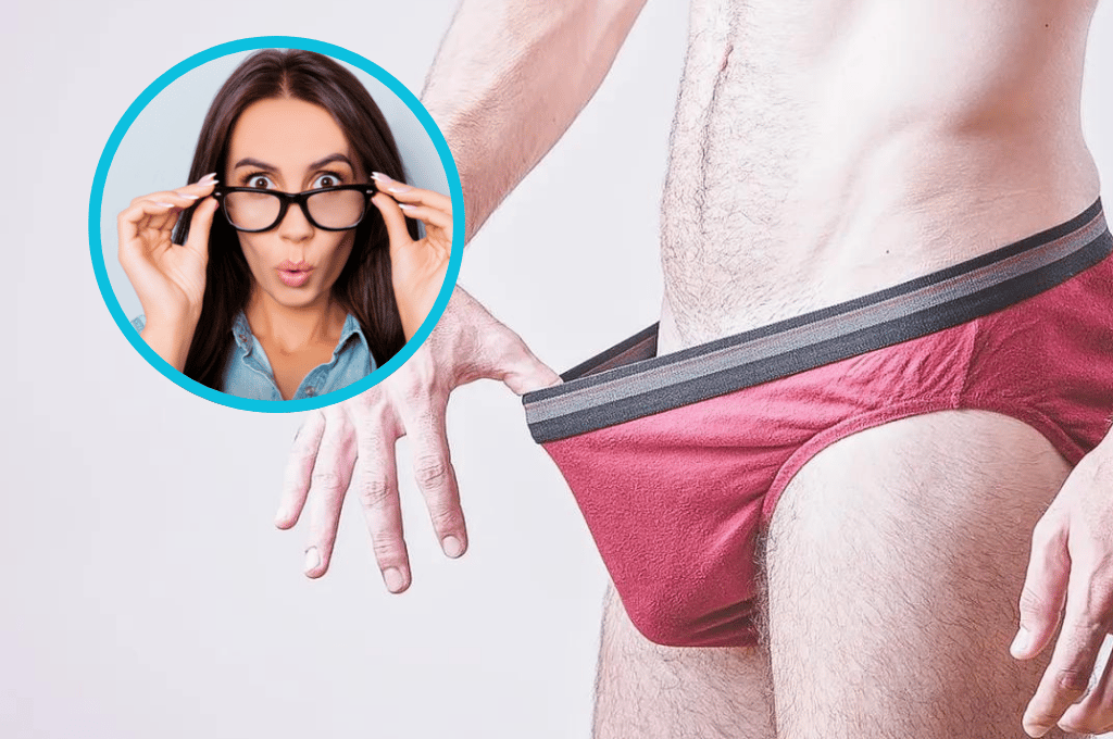 Mitos y curiosidades sobre el órgano sexual masculino