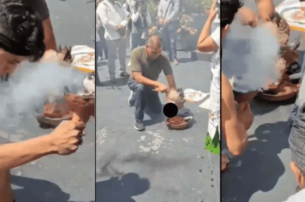 Polémico ritual en México: sacrificaron una gallina en las instalaciones del Senado