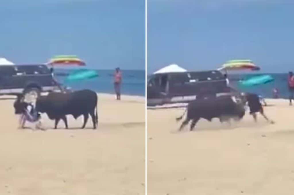 Impactante: un toro atacó a una turista en una playa de México