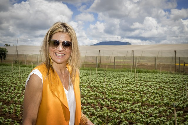 De la mano de Máxima, se impone en Holanda la moda ‘low cost’