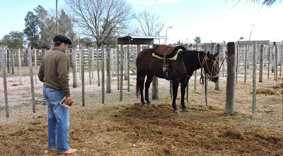 Exigen la continuidad del apoyo a pequeños productores