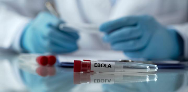Alarma global por el ébola: ya son 127 los muertos en África y Estados Unidos envía ayuda millonaria