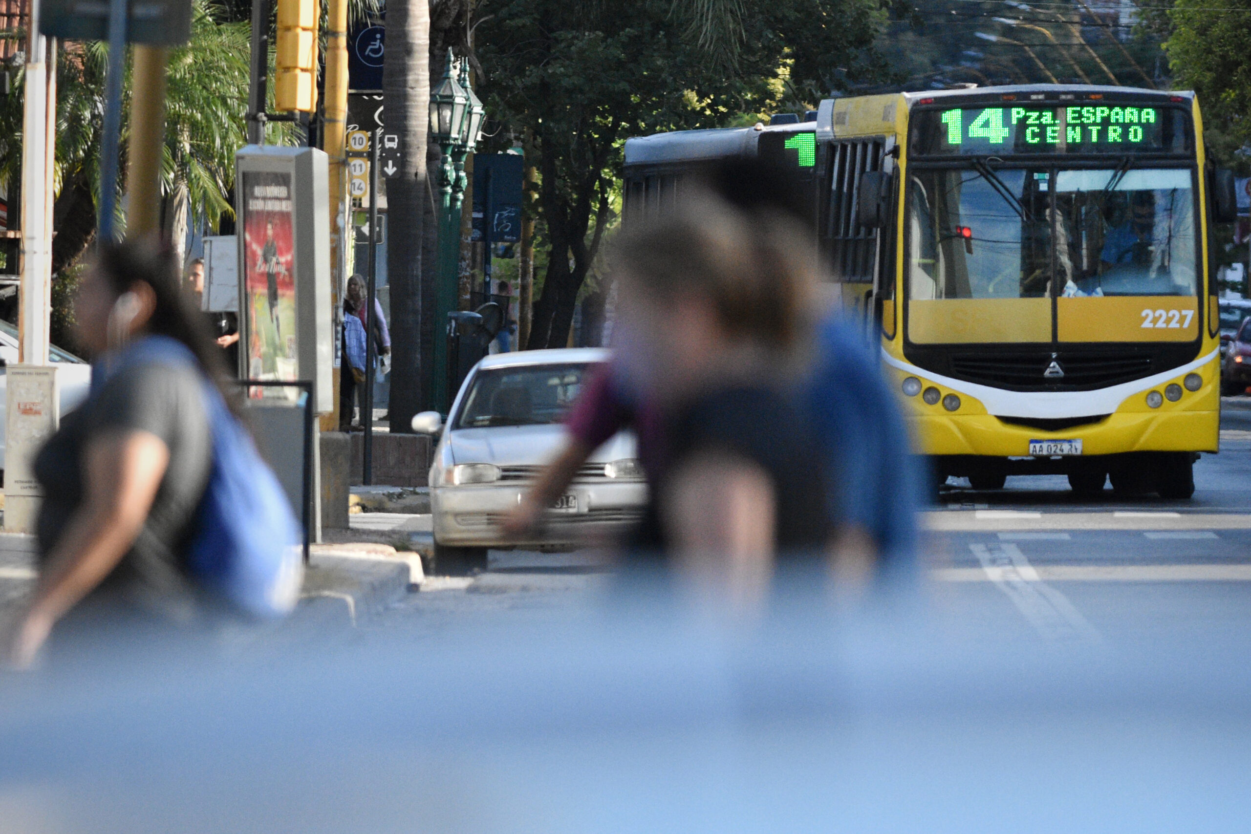 El transporte público deberá llevar la frase “Las Islas Malvinas son